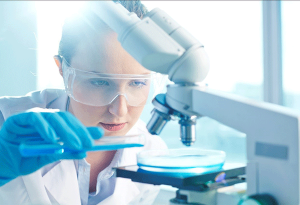 Tình hình nghiên cứu khoa học trong năm 2016 và 2017