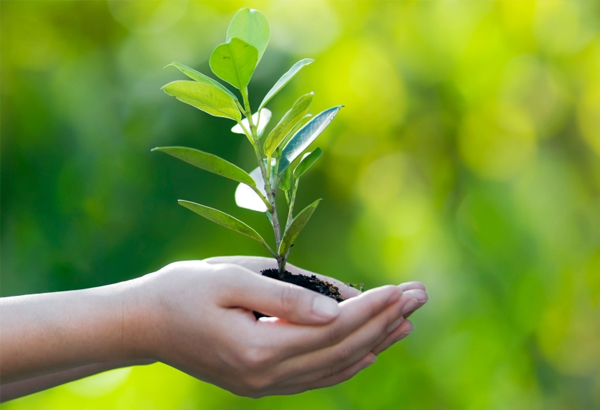 Hoạt động khoa học công nghệ nổi bật trong năm 2018