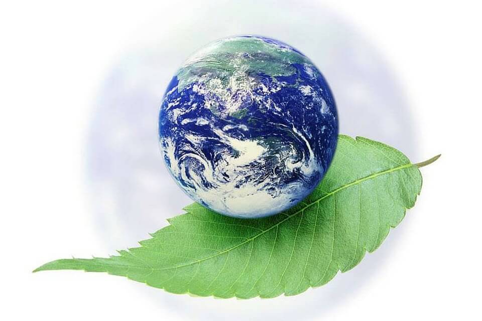 Phòng Quản lý Môi trường