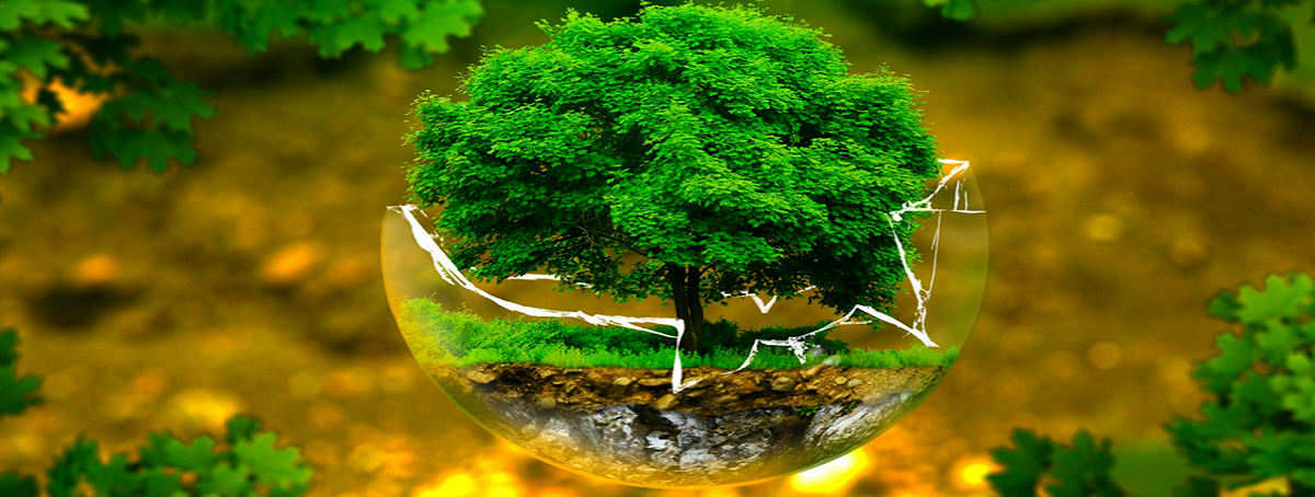 Đặc san Ứng dụng Khoa học & Công nghệ về Môi trường và Tài nguyên phục vụ cộng đồng ở Khu vực phía Nam