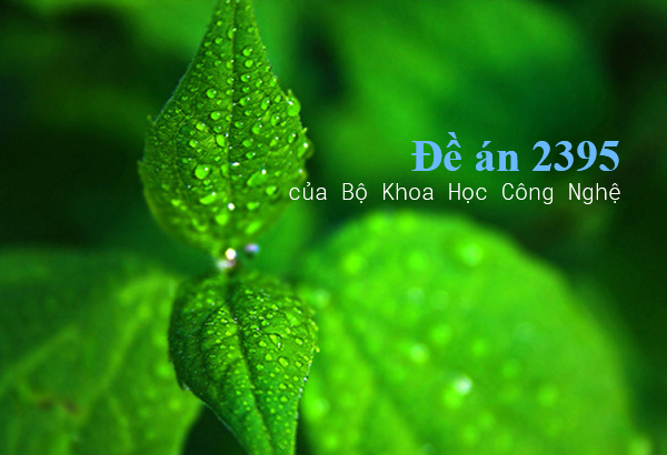 Đề án đào tạo bồi dưỡng nhân lực KHCN ở trong nước và ngoài nước