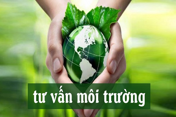 Dịch vụ tư vấn về môi trường và tài nguyên