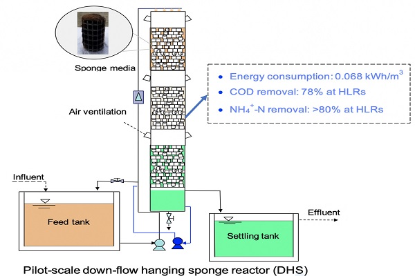 Influence of hydraulic loading rate on performance and energy-efficient of a pilot-scale down-flow hanging sponge reactor treating domestic wastewater