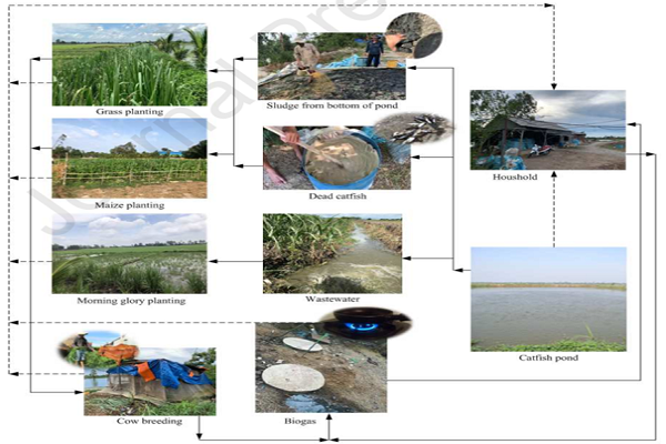 Waste treatment and soil cultivation in a zero emission integrated system for catfish farming in Mekong delta, Vietnam